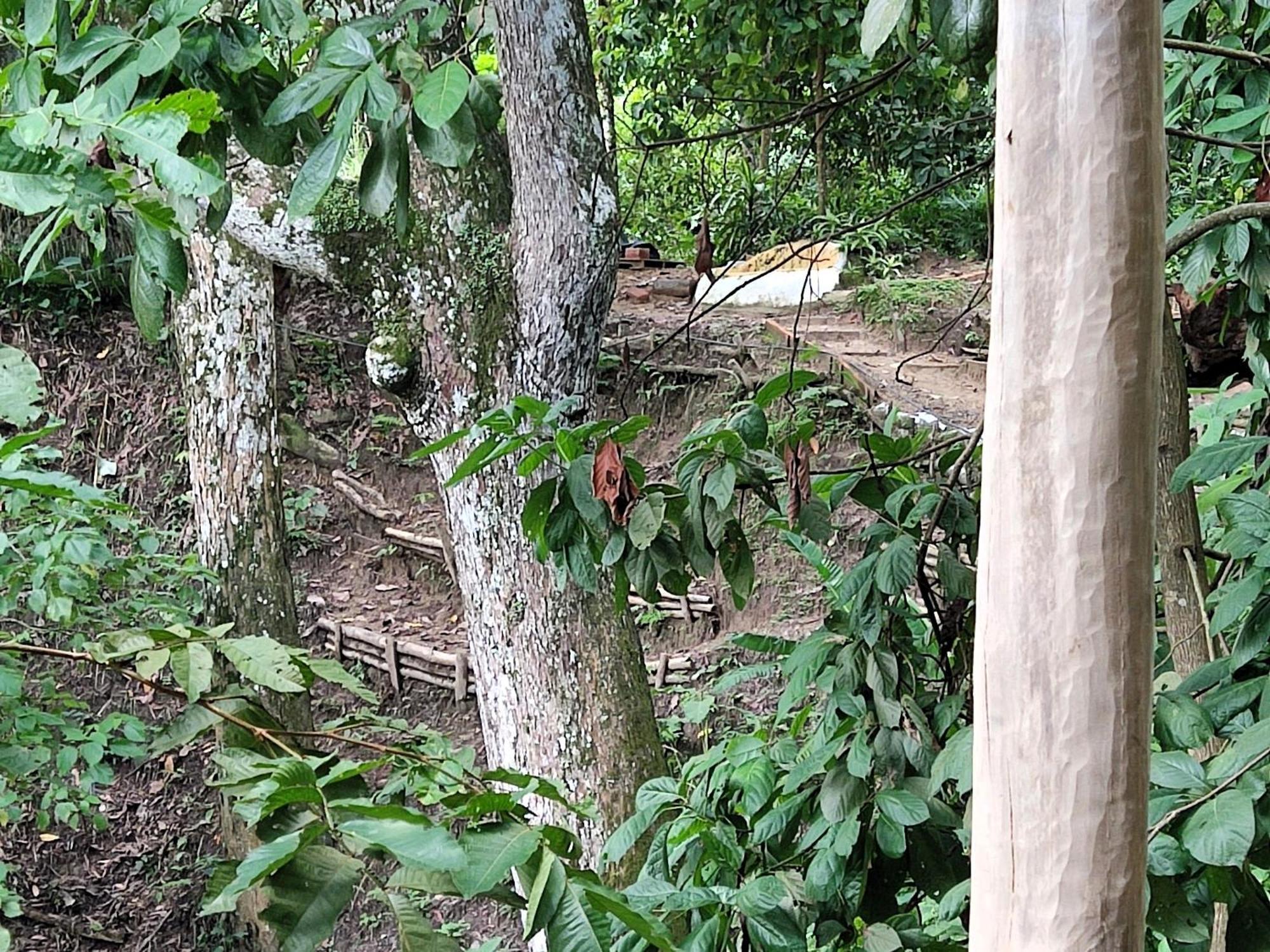 Eden Los Abuelos 2 - Casa Privada En Minca Nature エクステリア 写真