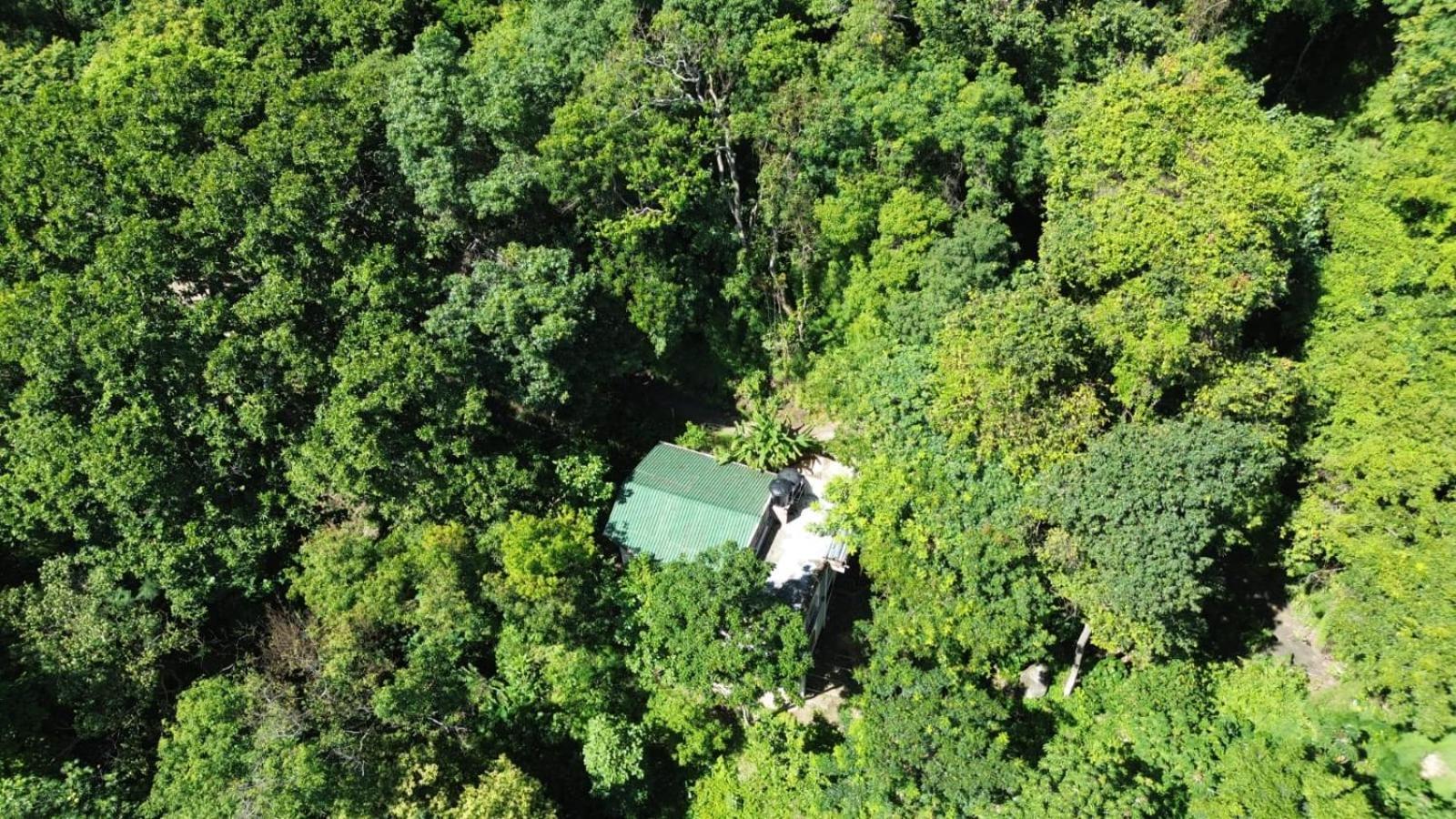 Eden Los Abuelos 2 - Casa Privada En Minca Nature エクステリア 写真
